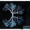 National Tree Week