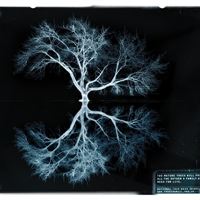 National Tree Week