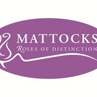 Mattocks logo