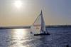 "Setting Sail"