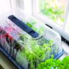 Stewart heat & grow 6815002 (c) Propagator Which Gardening Mark Winwood