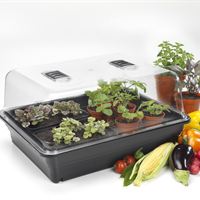 52cm Premium Electric Planted 