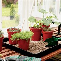 Gravel Seed Tray