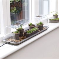 Kitchen Garden Propagator