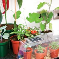 Propagator