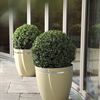 Zurbano Planter