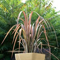 Wave Planter