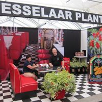 Stand at 2011 Plantarium show 