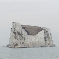 tobiaswootton