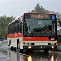 DSC7847