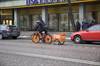 Blombud_cyklande