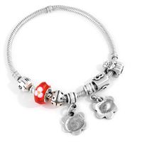 Pandora charm bracelet 
