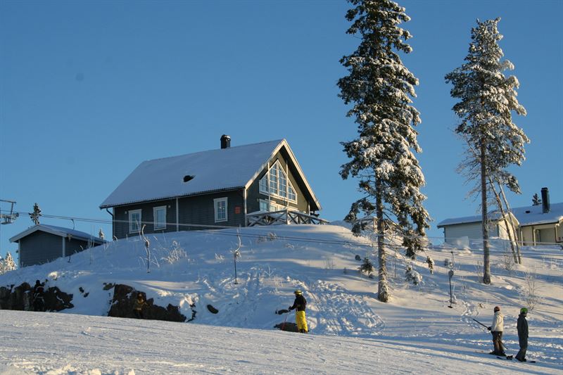 Fjllstuga 2