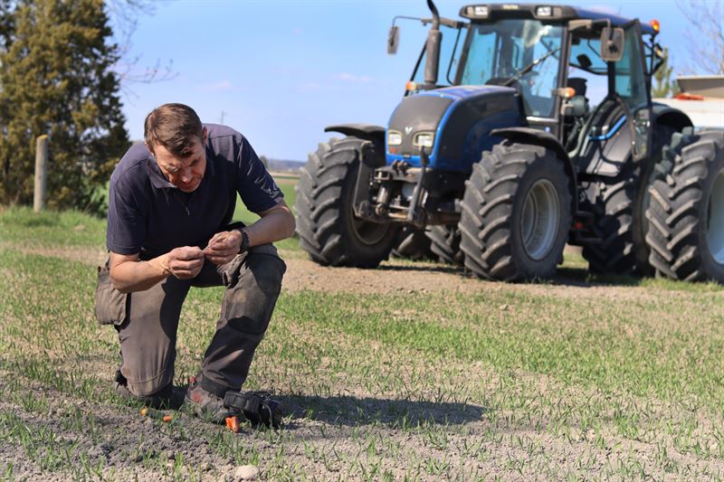 Vårbruk i Uppland: Lantbrukaren Robert Ihrsén inspekterar vårsådda grödor.