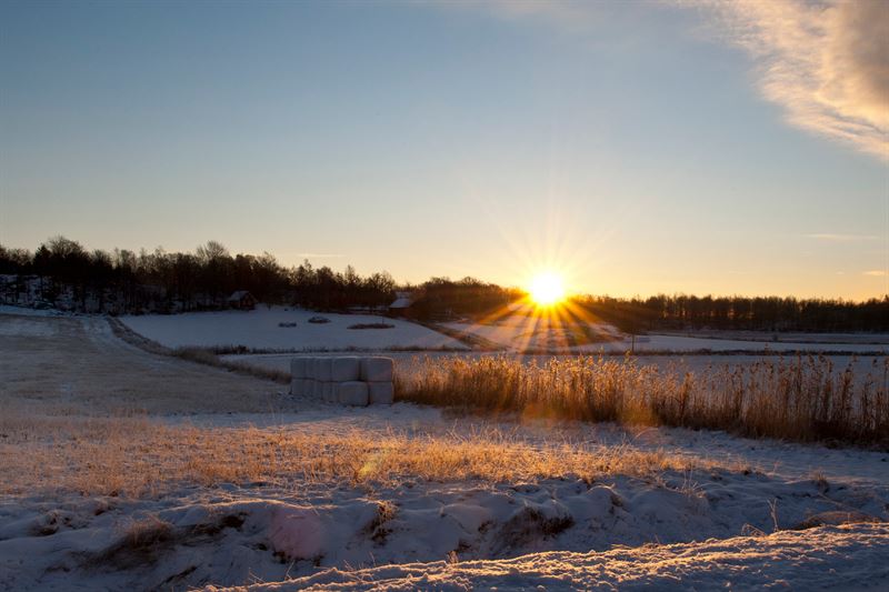 Bildbeskrivning: Sol i vinterlandskap