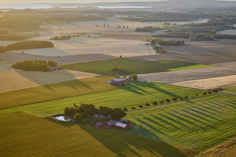 Lantrbruk med bevattningsdamm stergtland