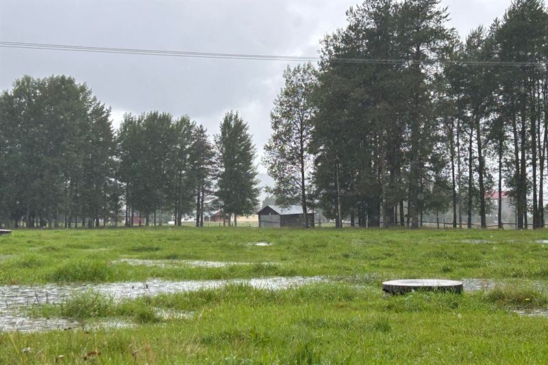 Fr mycket regn i Norrbotten