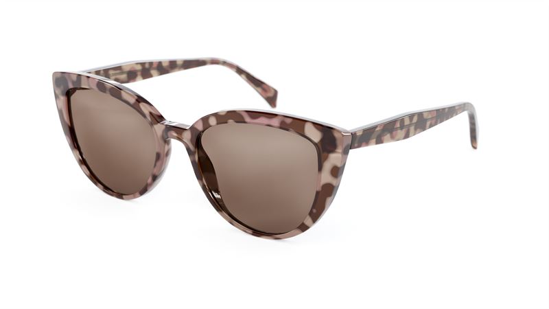 34161098-ortho-2000x1125.jpg