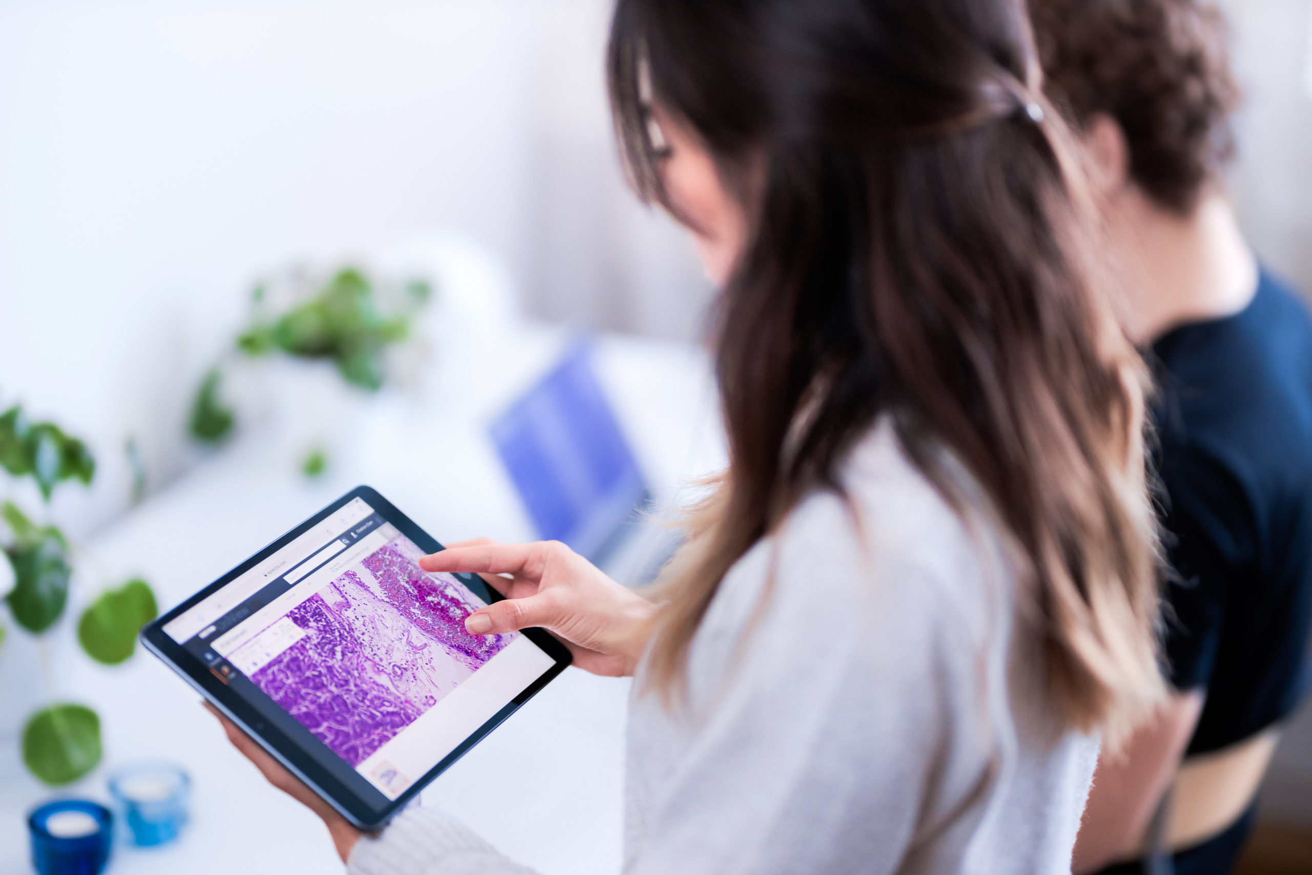 Loyalist College i Kanada inför Sectra Education Portal för stärkt utbildning inom bilddiagnostik