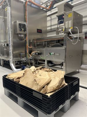 Mykoprotein / Mycoprotein