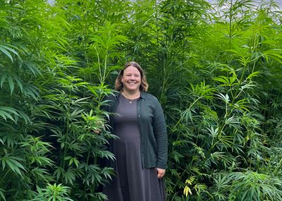 At Torsåker Farm, Axfoundation has test-grown hemp together with farmers for several years. The fiber hemp grew significantly taller than agronomist Maria Lundesjö, who leads the initiative.