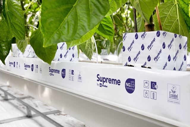 Partner Product Release: Supreme