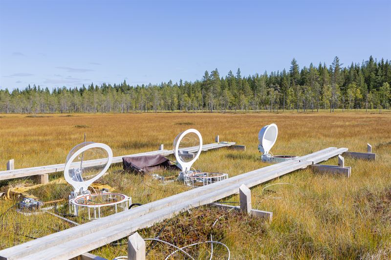 06 Svartberget.jpg