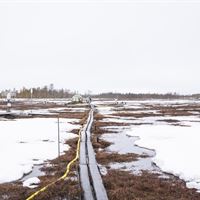 Degerö Stormyr i vinterskrud. Myren kom att bli central i den tidiga myrforskningen och hör förmodligen till en av de mest utforskade myrarna i världen. Kulbäckslidens försökpark