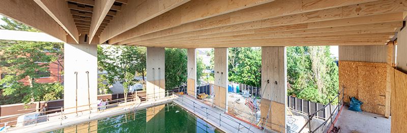 Roofing With Extremely Long Wooden Elements For An Indoor Swimming