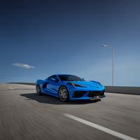 stingray