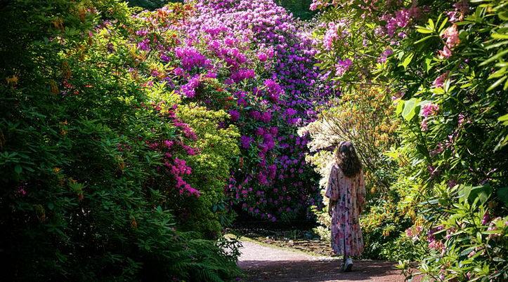 A person walking in a garden
Description automatically generated