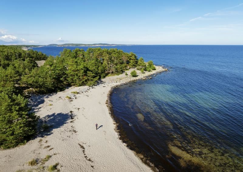 A beach with trees and water

AI-generated content may be incorrect.
