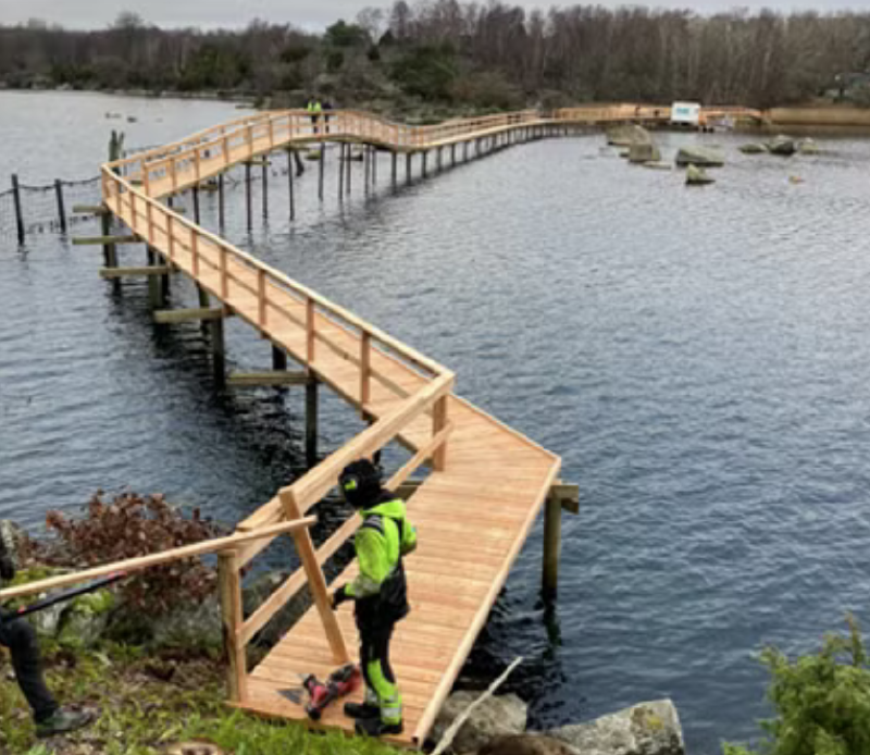A person walking on a wooden bridge over water
AI-generated content may be incorrect.