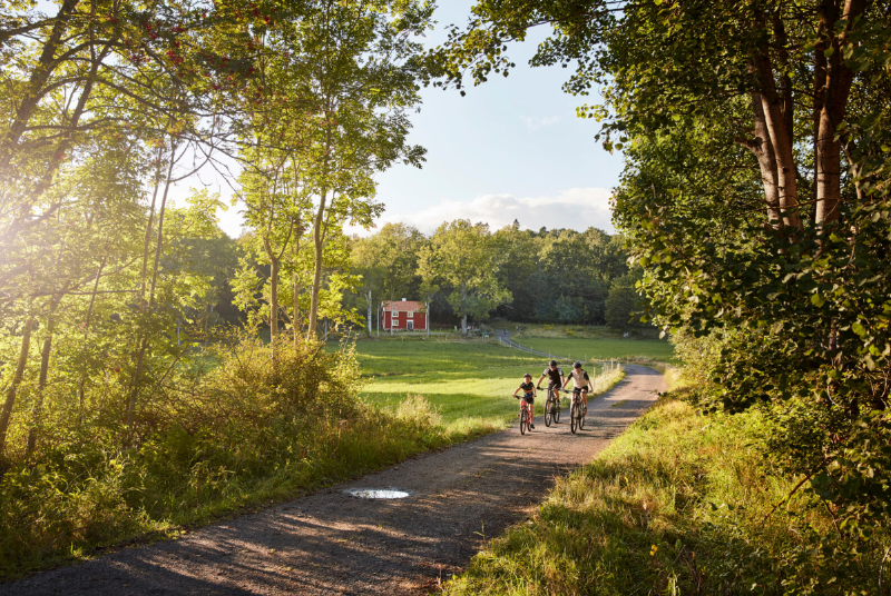 A group of people riding bikes on a dirt road through trees

AI-generated content may be incorrect.