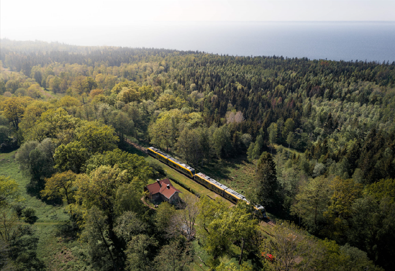 Une image contenant arbre, plein air, train, herbe

Le contenu généré par l’IA peut être incorrect.