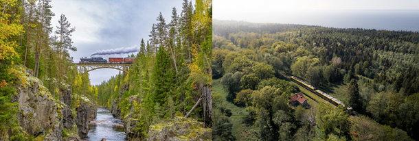 A collage of trees and a forest

AI-generated content may be incorrect.