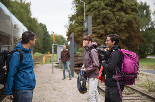 A group of people standing on a path

AI-generated content may be incorrect.