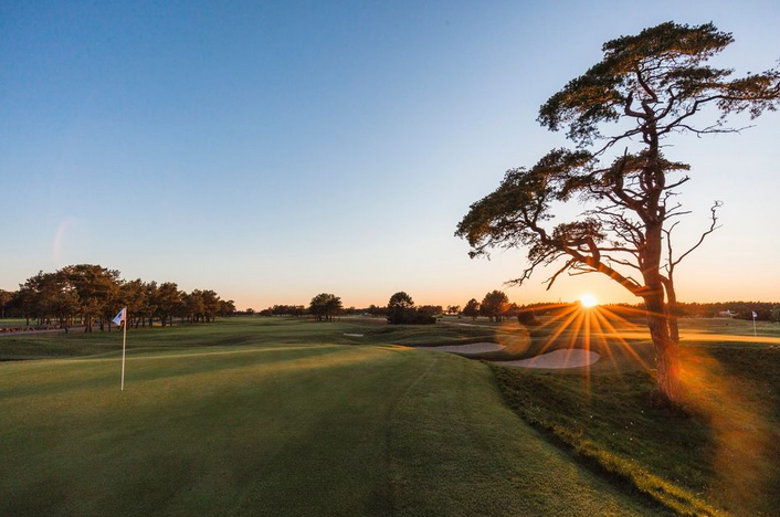 A golf course with a tree and a blue sky
AI-generated content may be incorrect.