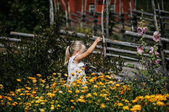 A child touching a fence
AI-generated content may be incorrect.
