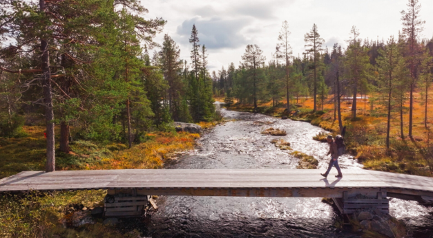 A person walking on a bridge over a river
AI-generated content may be incorrect.
