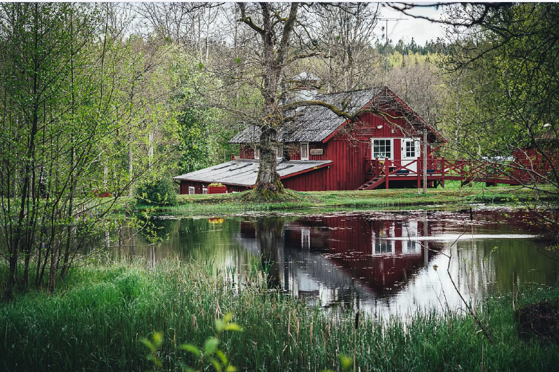 En bild som visar utomhus, träd, växt, gräs

AI-genererat innehåll kan vara felaktigt.