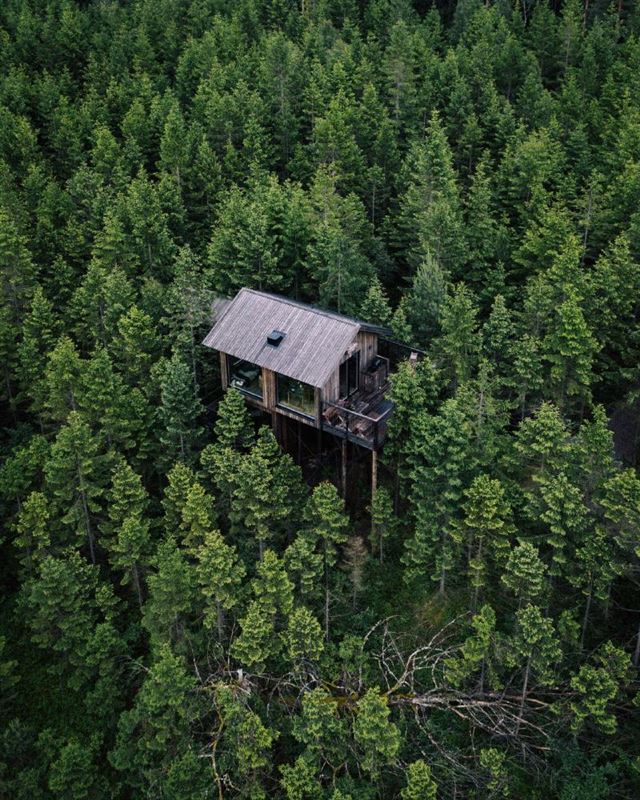 En bild som visar träd, utomhus, skog, hus

AI-genererat innehåll kan vara felaktigt.