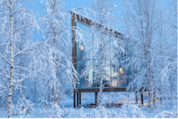 En bild som visar utomhus, träd, vinter, fryser
AI-genererat innehåll kan vara felaktigt.