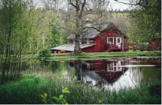 En bild som visar utomhus, träd, växt, gräs

AI-genererat innehåll kan vara felaktigt.