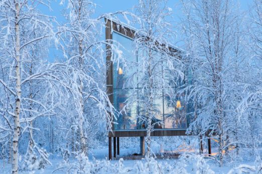 Une image contenant plein air, arbre, hiver, gelé

Le contenu généré par l’IA peut être incorrect.
