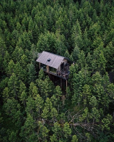En bild som visar träd, utomhus, skog, hus

AI-genererat innehåll kan vara felaktigt.