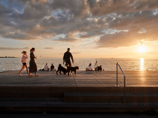 People walking dogs on a dock

AI-generated content may be incorrect.