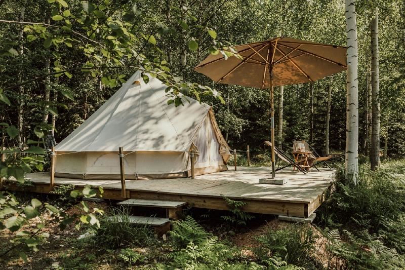 En bild som visar utomhus, träd, växt, paraply
AI-genererat innehåll kan vara felaktigt.