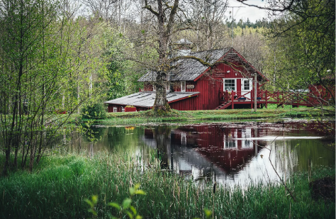 En bild som visar AI-genererat innehåll av träd, växter eller gräs utomhus kan vara felaktig.