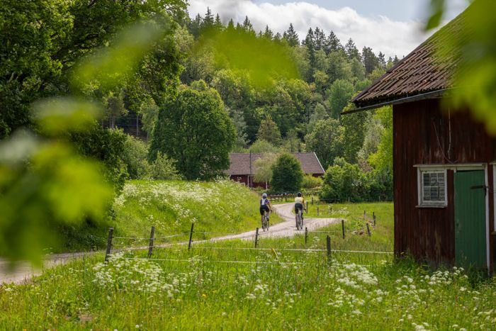 En bild som visar utomhus, gräs, träd, växt

AI-genererat innehåll kan vara felaktigt.